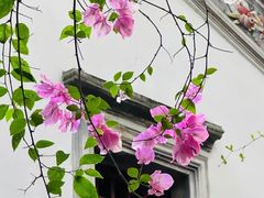 -深圳国际园林花卉博览园