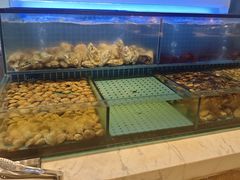 -冀粤香海鲜自助餐厅(西美五洲店)