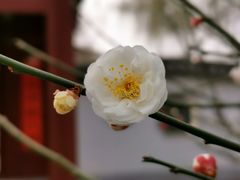 -碑林公园