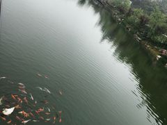 -安吉涵田度假村·水榭居中餐厅