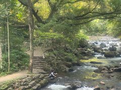 -广州市石门国家森林公园