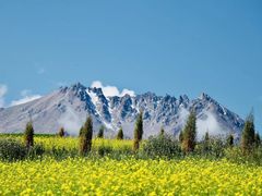 -青海湖国家重点风景名胜区