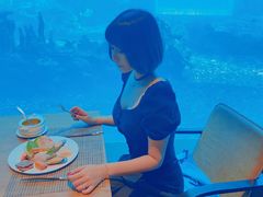 -海棠湾洲际-涛·海底餐厅·美人鱼·自助餐·海底隧道