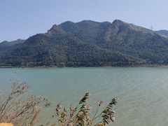 -羚羊峡古栈道森林公园