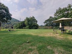 -趣多多宠物公园·宠物训犬学校·宠物寄养