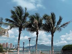 -碧桂园十里银滩