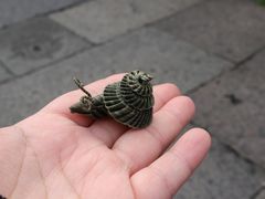 -仓桥直街