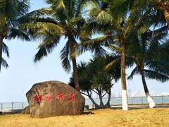 -万绿园