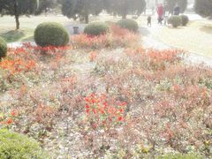 -辽宁大学(崇山校区)