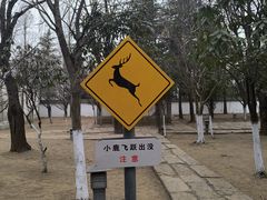 -观唐（国际）度假村温泉