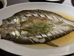 -姑苏家宴·苏帮菜·松鼠桂鱼(苏州总店)