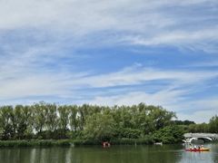 -大兴滨河森林公园