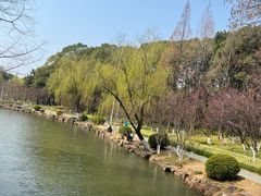 -霖公馆SPA·足道(普善路店)