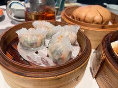 -新兴·金羊座·粤菜点心(乐峰店)