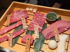 -火浪壹 by tigergrill(33小镇店)