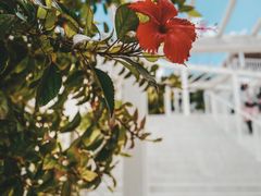 -濑长岛