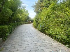 -峙山公园