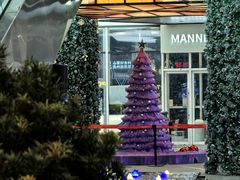 -浦江城市生活广场(江月路店)