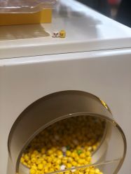 -KIDSLAND(北京蓝色港湾店)