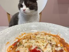 -猫儿山۰猫主题餐厅