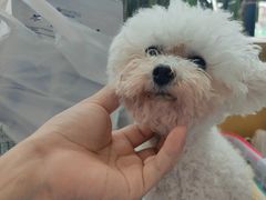 -谐和贝康宠物医院24小时·宠保定点(急重症转诊中心)