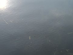 -南宁南湖公园