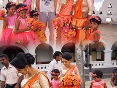 -Ministry of Crab(科伦坡店)