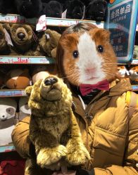 -Hamleys哈姆雷斯(东方福来德店)