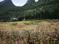 -万峰林风景区