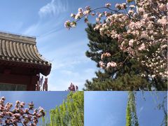 -海棠花溪(元大都城垣遗址公园)