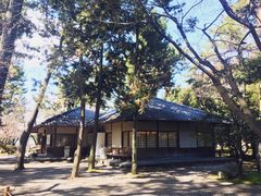 -名古屋城