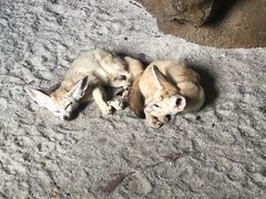 -长鹿旅游休博园