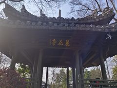 -三垟湿地