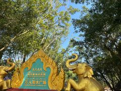 -西双版纳傣族园