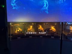 -深圳珠宝博物馆
