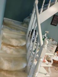 -YOUNGSKIN氧研皮肤管理中心