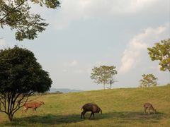 -良渚古城遗址公园