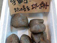 這個我不知道是什麼也不知道該怎樣煮來吃-木津卸壳市场