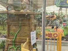 -南宫五洲植物乐园