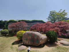 -嘉定紫藤园