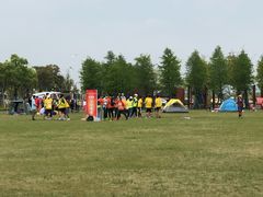 -春花秋色城市公园