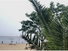 -碧海金沙