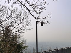 -紫金山山顶公园
