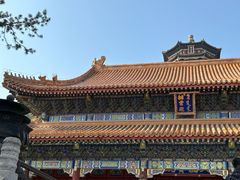 -颐和园