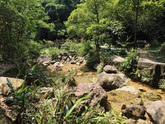 -南海湾森林生态园