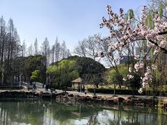 -大宁公园