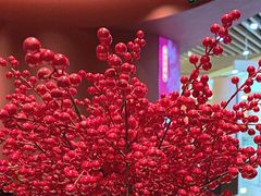 -拾宴(汇智国际商业中心店)