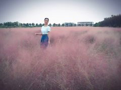 -映月湖中央公园