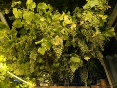 -墨白私房菜·广东菜 粤菜