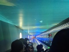 -白鹤梁水下博物馆